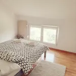 House For Rent Paola Vakantiehuis Ražanac
